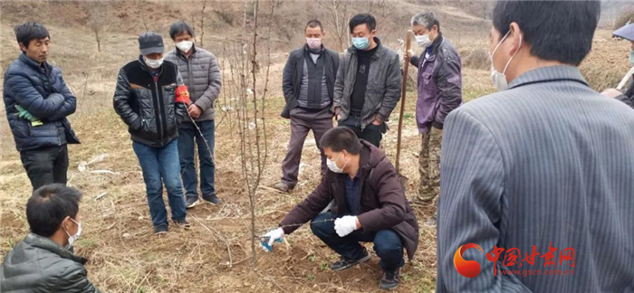 【甘肅全民戰(zhàn)“疫”】隴南徽縣：花椒田里培訓忙，戰(zhàn)疫春耕兩不誤