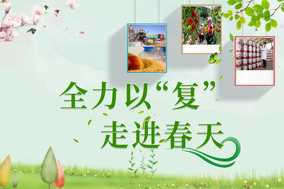 長(zhǎng)圖|全力以“復(fù)”！甘肅走進(jìn)春天里  