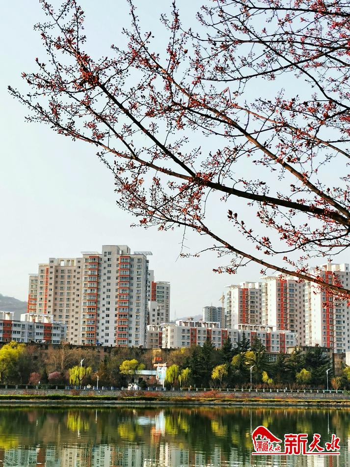 春天，古城天水的十個美麗瞬間