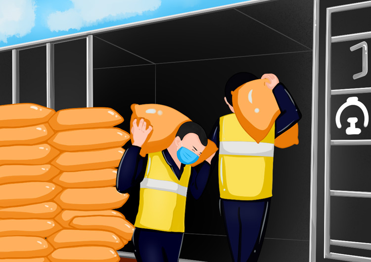 【光明漫評】保障春耕物資，播種希望筑牢信心