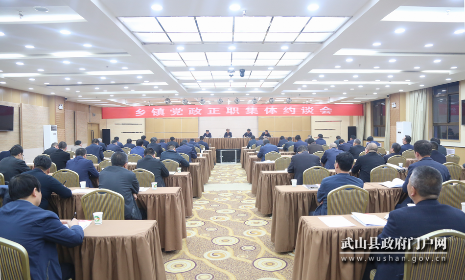 武山縣突出“快、細(xì)、實(shí)、嚴(yán)”全力推進(jìn)抓黨建促?zèng)Q戰(zhàn)決勝脫貧攻堅(jiān)問(wèn)題排查清零