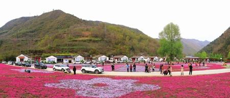 美麗隴南，風景這邊獨好——隴南市推進鄉(xiāng)村旅游高質(zhì)量發(fā)展綜述