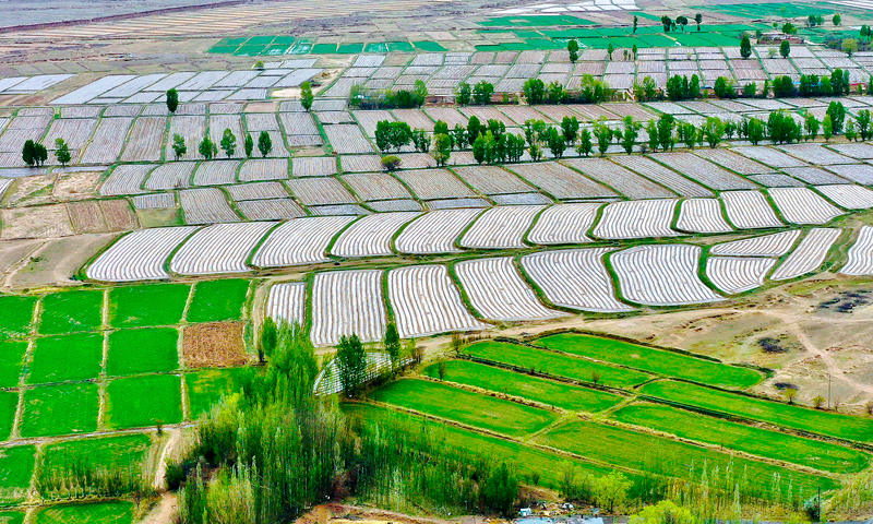 【小隴畫(huà)報(bào)·88期】甘肅山丹：騰退復(fù)墾 沃野縱橫煥生機(jī)