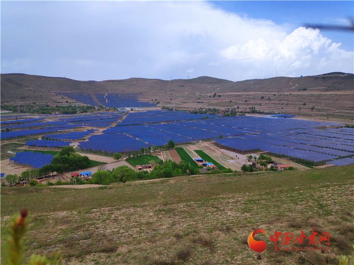 【甘肅省決戰(zhàn)決勝脫貧攻堅(jiān)】定西通渭：“紫荊花開”光明來 光伏扶貧動(dòng)力足