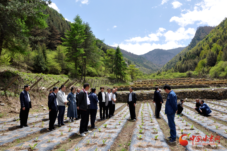 白龍江博峪河保護(hù)局開展產(chǎn)業(yè)發(fā)展、義務(wù)勞動(dòng)成果現(xiàn)場(chǎng)觀摩交流活動(dòng)