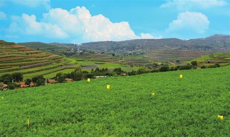 甘肅：推動產業(yè)扶貧 堅決打贏脫貧攻堅戰(zhàn)（圖）