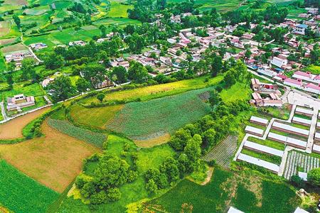 【溫暖的回響 滄桑巨變 飲水思源】這條路，通往幸福