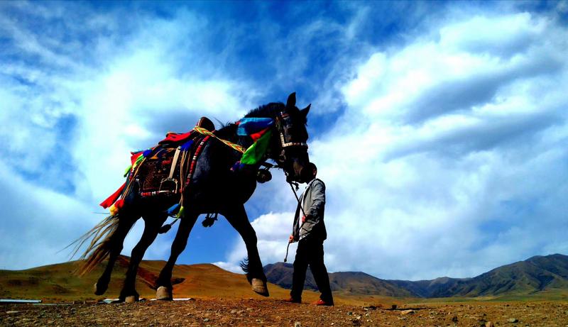 好消息！天祝被命名為“中國(guó)高原走馬之鄉(xiāng)”