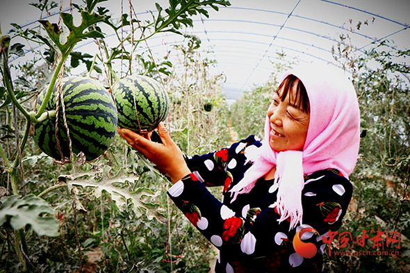 民勤：蹚出村集體經濟發(fā)展新路