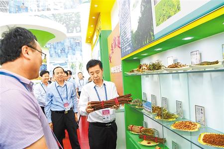 甘肅推動實施“六大特色農業(yè)產業(yè)”精準脫貧追蹤報道之藥產業(yè) 開出治窮“良方子”