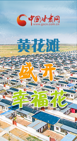 【跟著總書記看甘肅】長圖|武威黃花灘盛開幸?；?