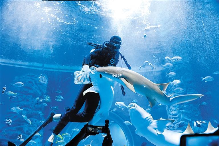 蘭州海洋公園 金昌火星1號基地 這個暑假我們“上天入?！?>
        </a><em>蘭州海洋公園 金昌火星1號基地 這個暑假我們“上天入?！?/em></li>
    <li><a  target=