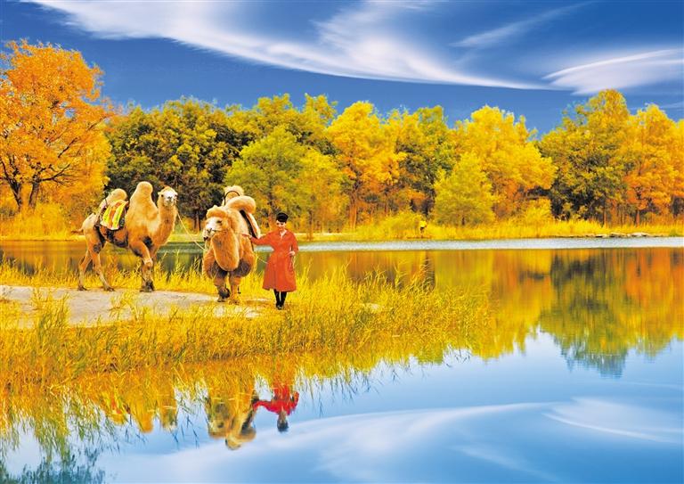 國慶長(zhǎng)假，去金塔遇見最美胡楊