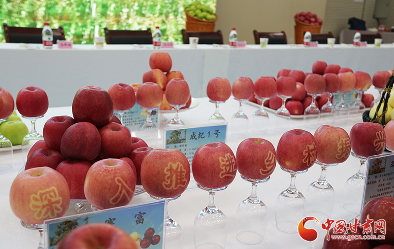 國(guó)家蘋(píng)果產(chǎn)業(yè)技術(shù)體系崗位專(zhuān)家：靈臺(tái)蘋(píng)果就是好