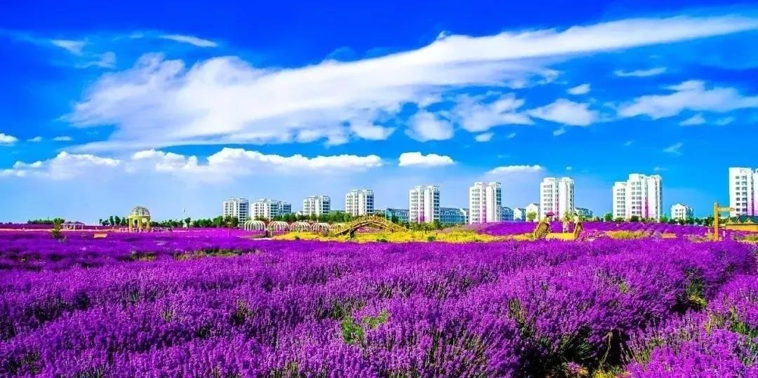 喜訊！金昌蟬聯(lián)全國(guó)文明城市