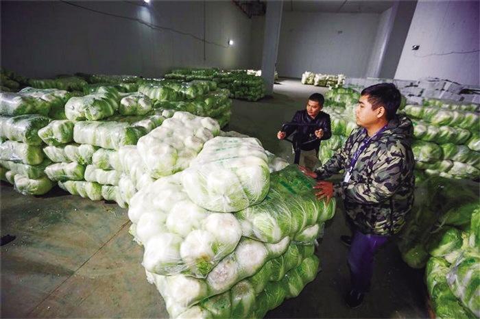 蘭州市已儲備1萬噸冬春蔬菜以耐貯存、易周轉(zhuǎn)品種為主