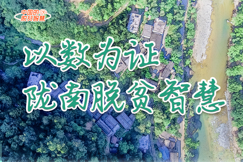 【中國(guó)的脫貧智慧】以數(shù)為證！隴南脫貧智慧來(lái)了！