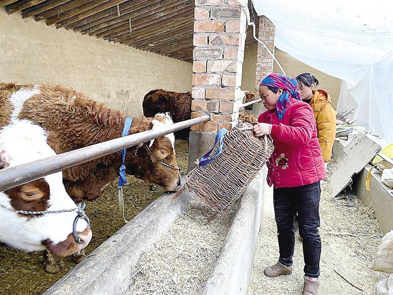 臨夏州業(yè)卜灣村：寒門(mén)飛出“金鳳凰”