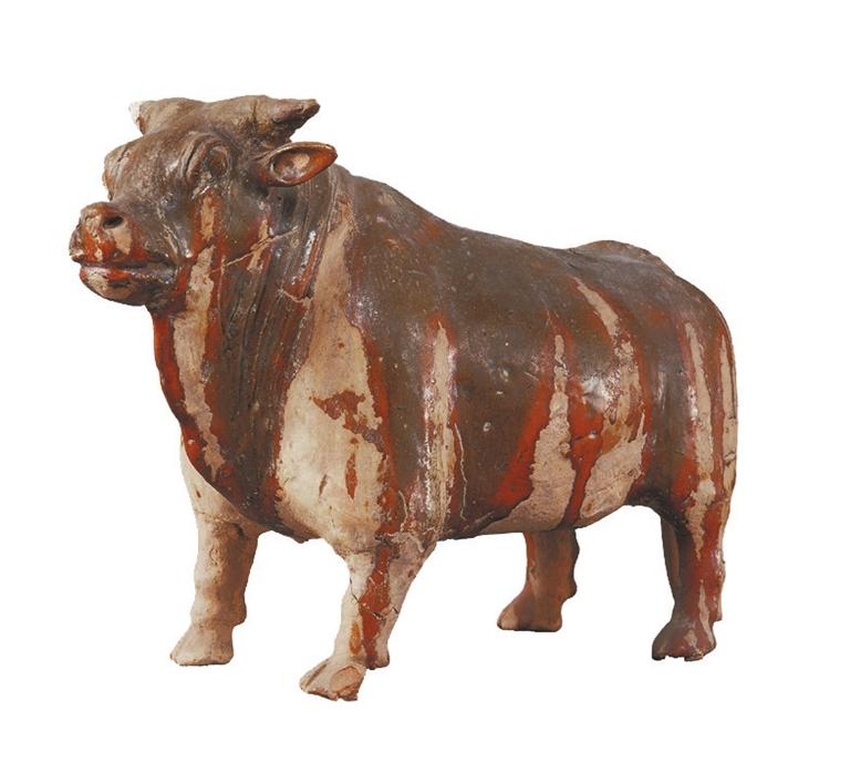 打開眼界丨牛年看牛，越看越牛!