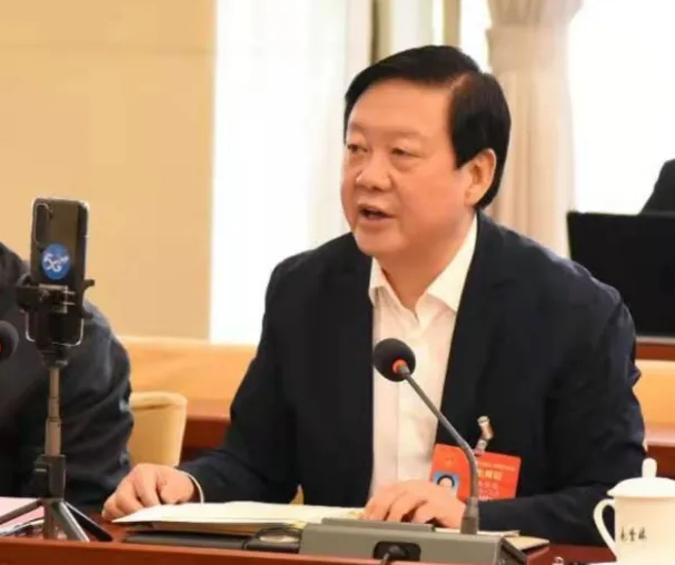 【聚焦2021全國兩會】全國人大代表、市委書記楊維俊接受中國日報記者采訪