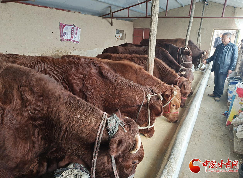 平?jīng)鰶艽ǎ骸芭！碑a(chǎn)業(yè)鋪就致富路