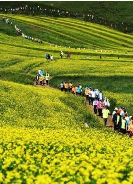 甘肅明確農(nóng)民進城落戶:不以退出承包地、林地等為條件