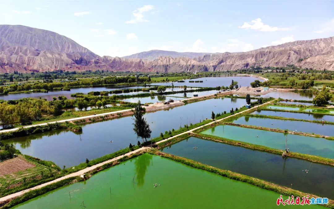 一秒入畫！太極島濕地風光秀麗