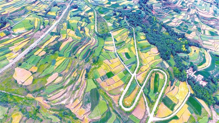 臨夏州積石山縣全面推進“四好農(nóng)村路”建設(shè)