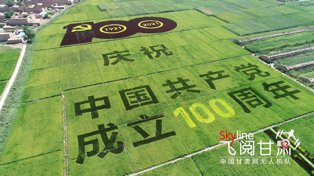 【甘肅省“100系列”獻禮建黨百年】物華天寶潤隴原·靖遠(yuǎn)瓜園村：稻田“作畫”獻禮建黨百年