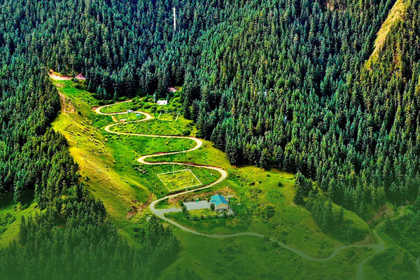 海報(bào)|祁連山保護(hù)區(qū)生態(tài)環(huán)境問題整改全面完成！