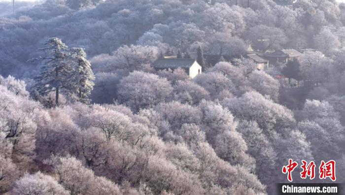 圖為霧凇美景。　徐振華 攝