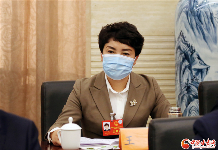 【聚焦2022甘肅兩會·代表風(fēng)采】省人大代表王玲：關(guān)注農(nóng)民心聲 帶領(lǐng)村民致富