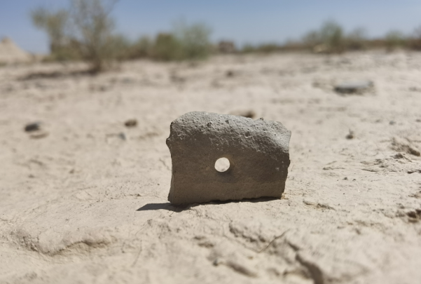插圖1：河西走廊上遺存的古陶片。攝影：陳曉斌。拍攝日期：2020年6月。