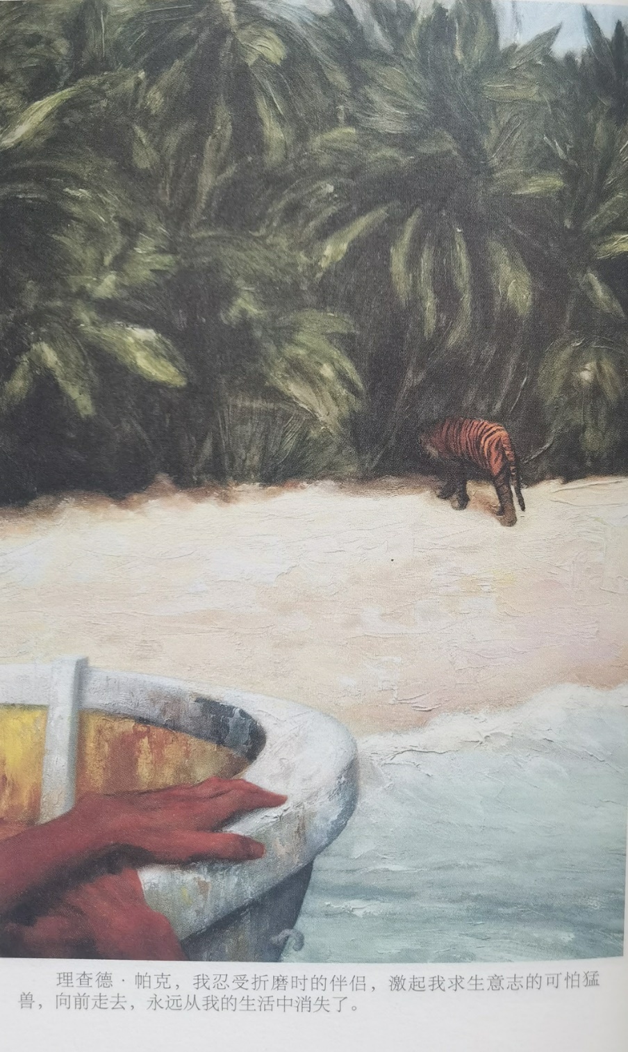 插圖3：揚(yáng)？馬特爾的小說《少年pi的奇幻漂流》插圖