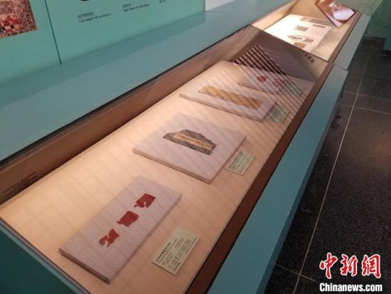 圖為展覽現(xiàn)場?！《鼗脱芯吭汗﹫D