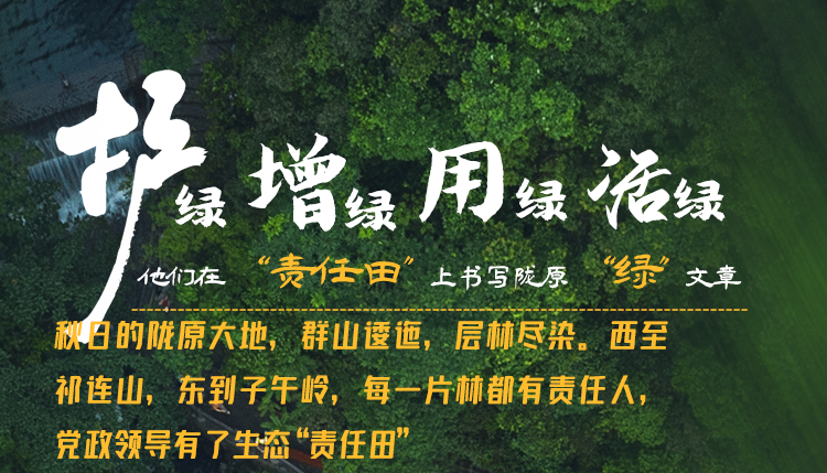 長圖丨護綠 增綠 用綠 活綠 他們在“責(zé)任田”上書寫隴原“綠”文章