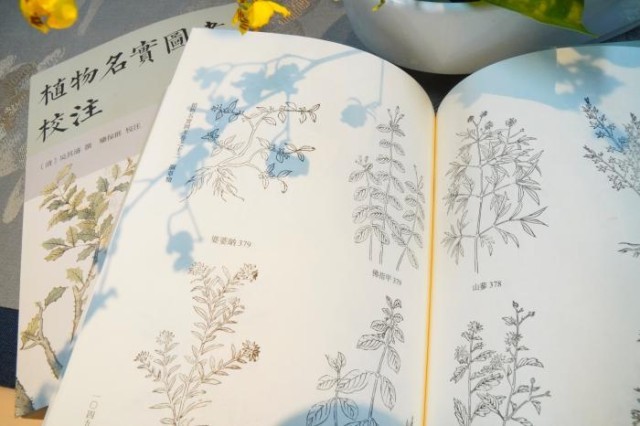 《植物名實圖考校注》內(nèi)頁。圖片來源：中華書局供圖