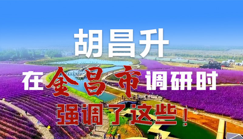 圖解|胡昌升在金昌市調(diào)研時強(qiáng)調(diào)了這些！