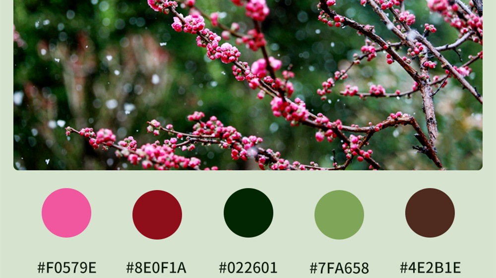 微海報(bào)|收藏！色卡里的春日甘肅