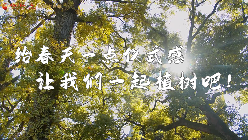 短視頻|給春天一點(diǎn)儀式感，讓我們一起植樹吧！