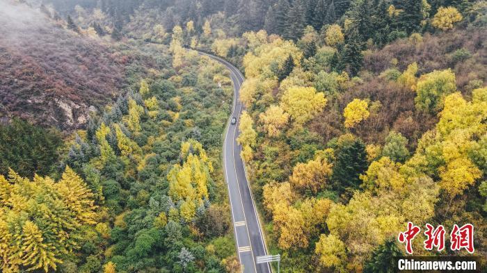 深秋，航拍位于蘭州市榆中縣的興隆山，景色如畫。金峯 攝</p>
<p>