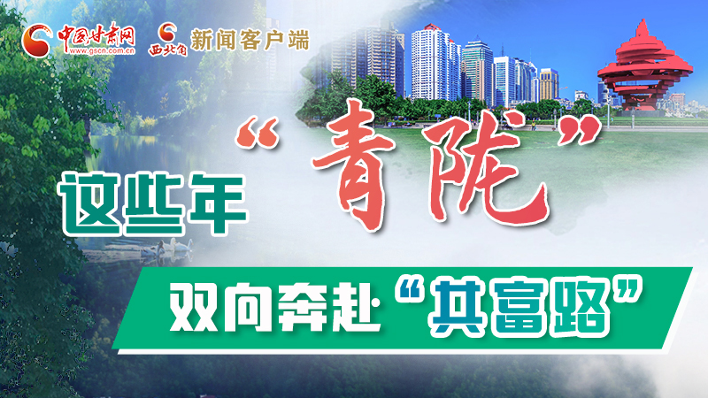 【江河奔流·青隴協(xié)作譜新篇】這些年，“青隴”雙向奔赴“共富路”