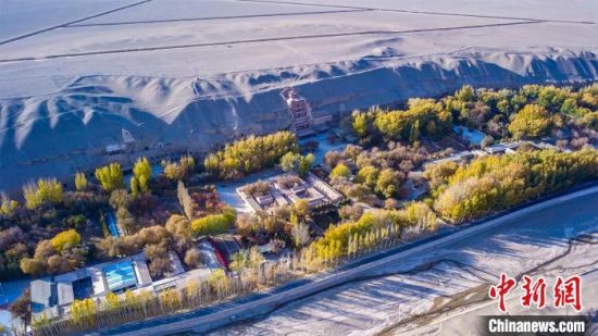 2022年11月，航拍深秋季節(jié)的莫高窟?！　⊥醣筱y 攝