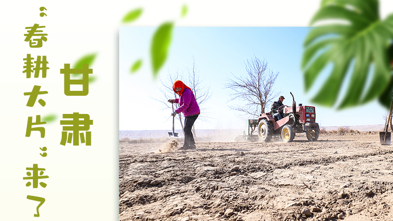 【甘快看】海報|瞧！甘肅“春耕大片”來了