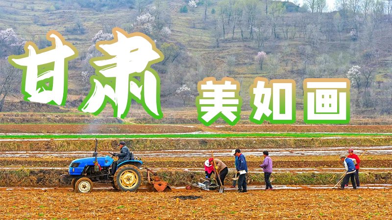 微海報|甘肅，美如畫