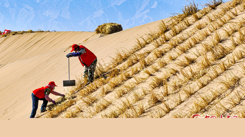 初冬時(shí)節(jié)巴丹吉林沙漠忙“鎖邊”